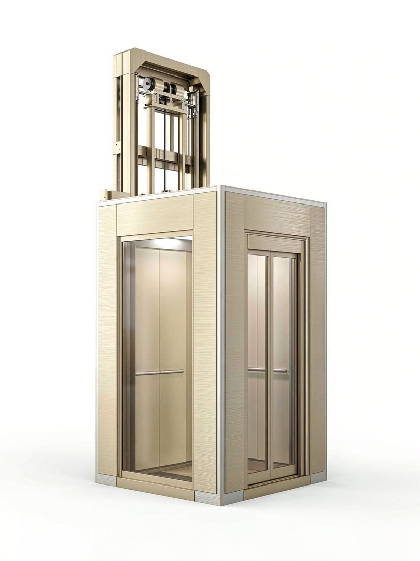 Backpack frame villa elevator structure